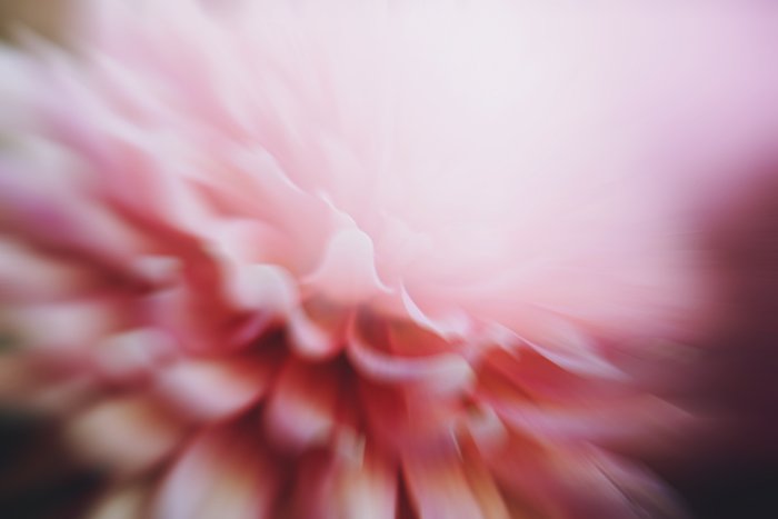 Художественная импрессионистская фотография размытого розового цветка