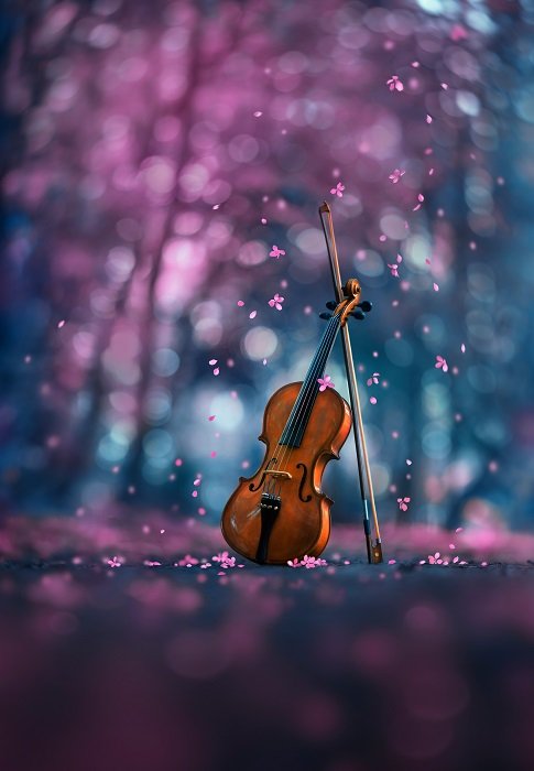 Скрипка в лесу в окружении лиловых цветов вишни