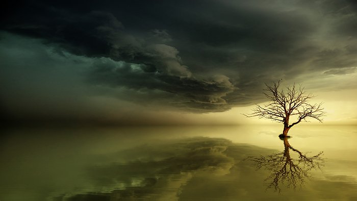 Атмосферная пейзажная фотография с угрюмым деревом во время грозы