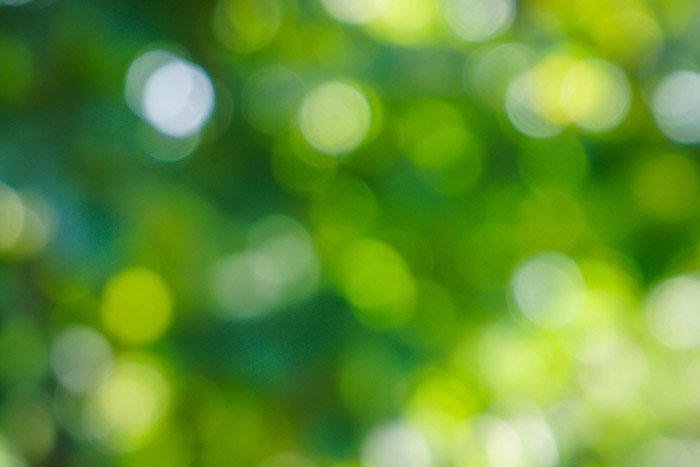 Abstract photography featuring green and yellow bokeh lights