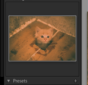 Saving a preset for a film photography look in Lightroom