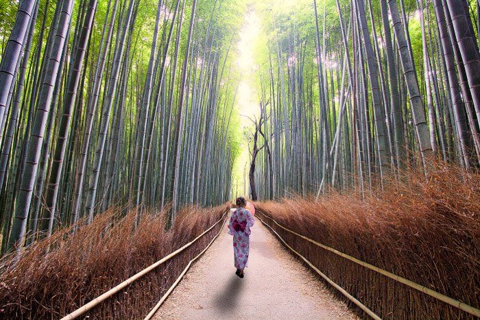 Девушка в традиционном японском платье идет через бамбуковый лес