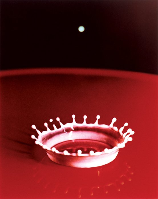 Milk Drop, культовые фотографии Гарольда Эдгертона (1957)