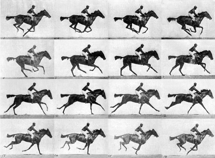 Последовательность галопа скаковой лошади - Эадвард Майбридж, самые известные фотографии