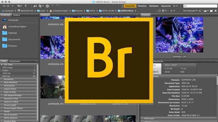 Скриншот открытия Adobe Bridge с логотипом