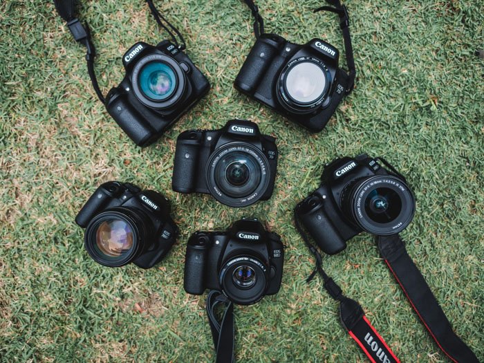 Шесть разных камер на траве