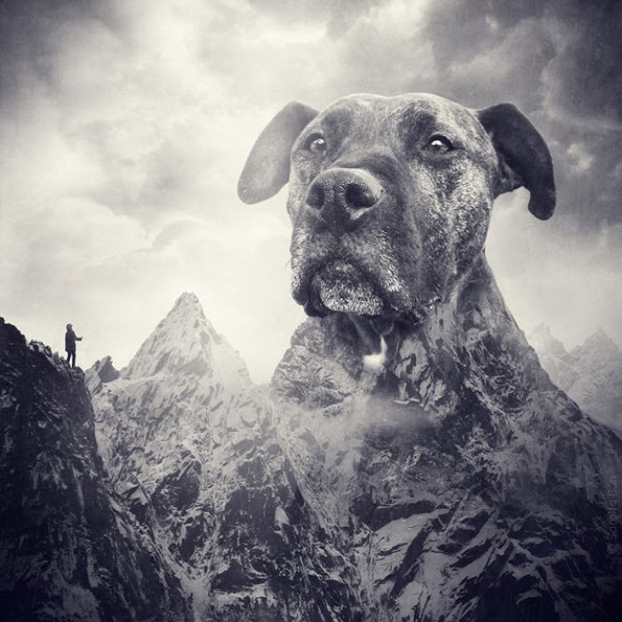 Surreal photo manipulation of the dogs head as a large mountain by Sarolta Ban 