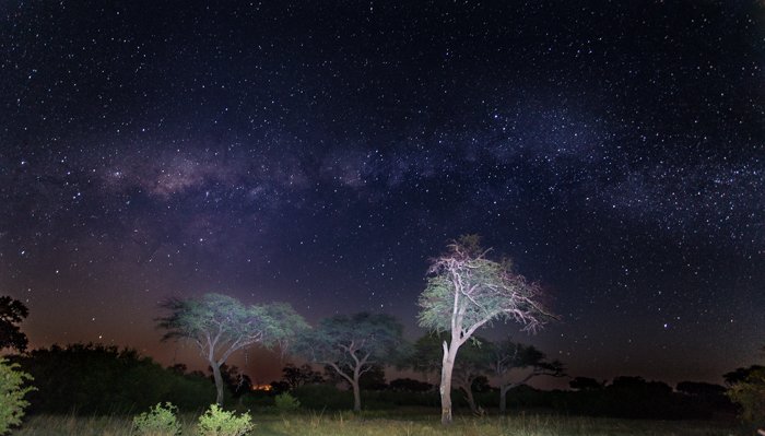 Потрясающий ночной пейзаж в лагере в дельте Окаванго, Ботсвана. Safari pictures