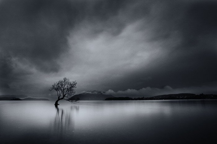 A black and white minimalist landscape photography sot featuring a lone tree in water under the dramatic cloudy sky