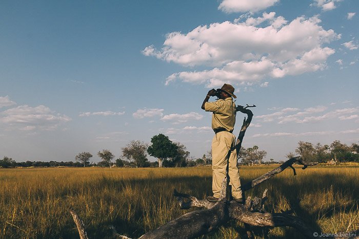 Фотограф снимает в травянистом пейзаже - как одеваться для съемки дикой природы