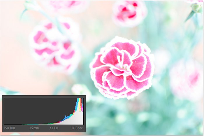 Недоэкспонированное изображение цветка с гистограммой