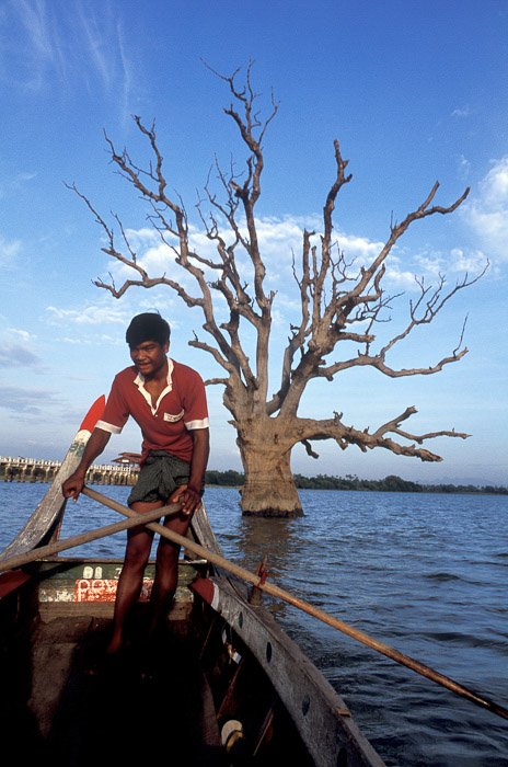 Мужчина гребет на деревянной лодке в озере на фоне дерева