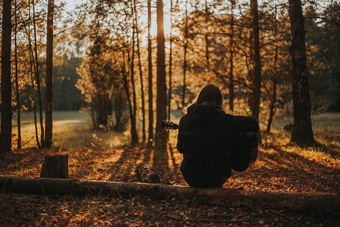 Силуэт человека, сидящего на бревне в осеннем лесу