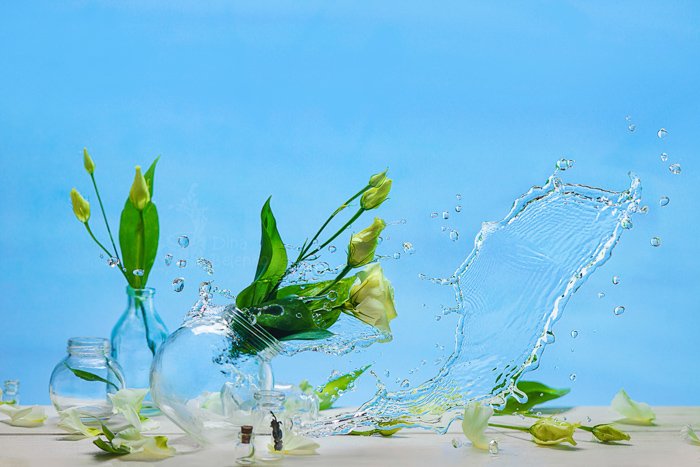 Креативный натюрморт из цветов в стеклянных банках, падающих с креативным всплеском воды - весенние фото идеи