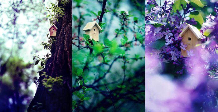 Милый триптих весенних фотографий маленького деревянного домика на дереве, снятого с разных ракурсов - идеи весенней фотографии