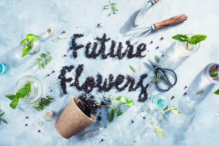 Cool garden themed still life featuring flowers, flower pots and typography - spring photography ideas
