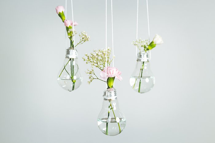 три лампочки с водой и цветами внутри висят на белом фоне