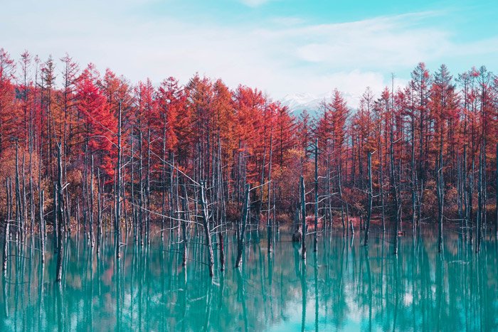 красивый пейзаж из ярких цветных деревьев над озером - потрясающие пейзажные фотографии