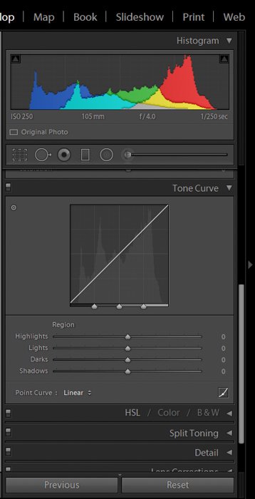 скриншот, показывающий постобработку макросъемки с помощью тоновой кривой в lightroom