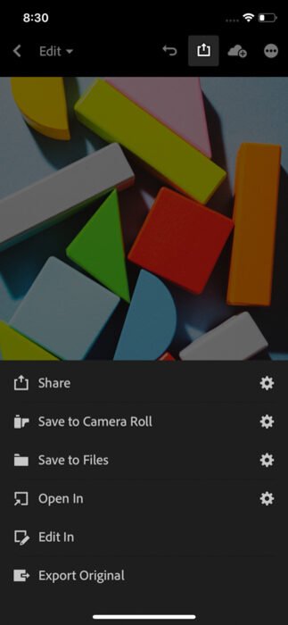 Скриншот, показывающий, как сохранить, поделиться или добавить фотографии прямо из мобильной версии Lightroom