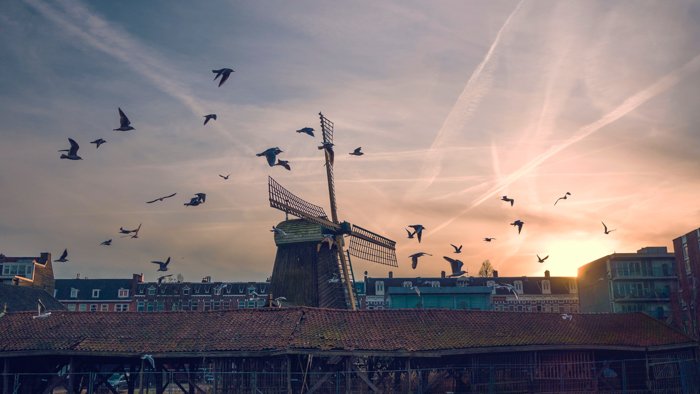 Птицы летают над крышами в Де Гуйер, Амстердам фото