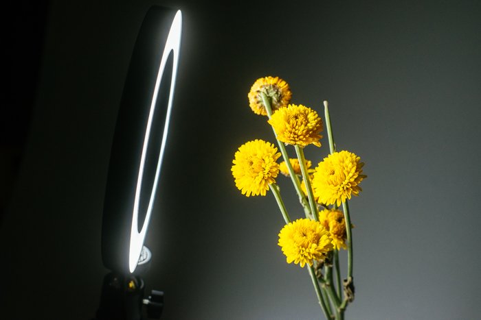 Макрофотография установка освещения для съемки букета желтых цветов
