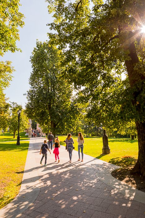 яркая и воздушная фотография людей, гуляющих по парку с эффектом солнечных лучей на деревьях