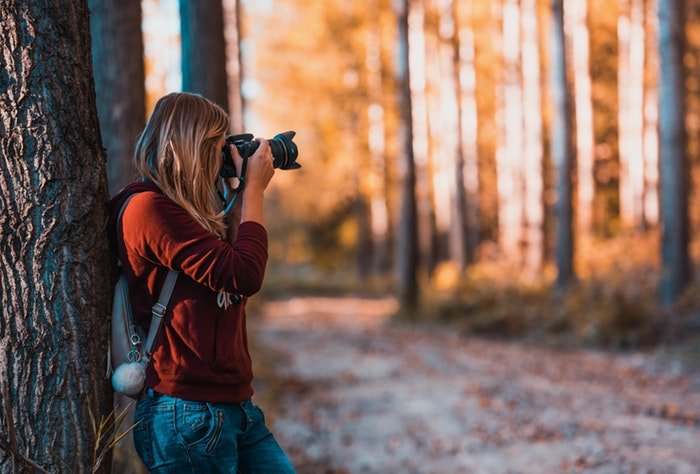 женщина-фотограф снимает в лесу