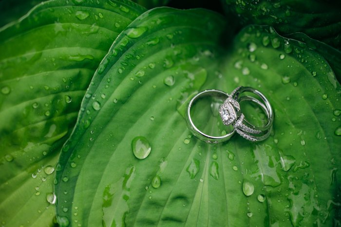 обручальные кольца, покоящиеся на покрытом дождем листе
