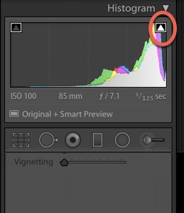 скриншот, показывающий, как использовать гистограмму в Lightroom - ошибки Lightroom