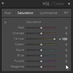 Скриншот, показывающий, как использовать ползунки цвета HSL в Lightroom