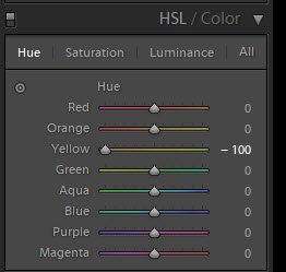 Скриншот, показывающий, как использовать ползунки цвета HSL в Lightroom
