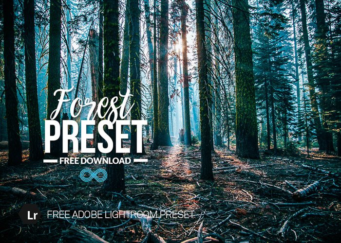 Photonify's Forest Preset