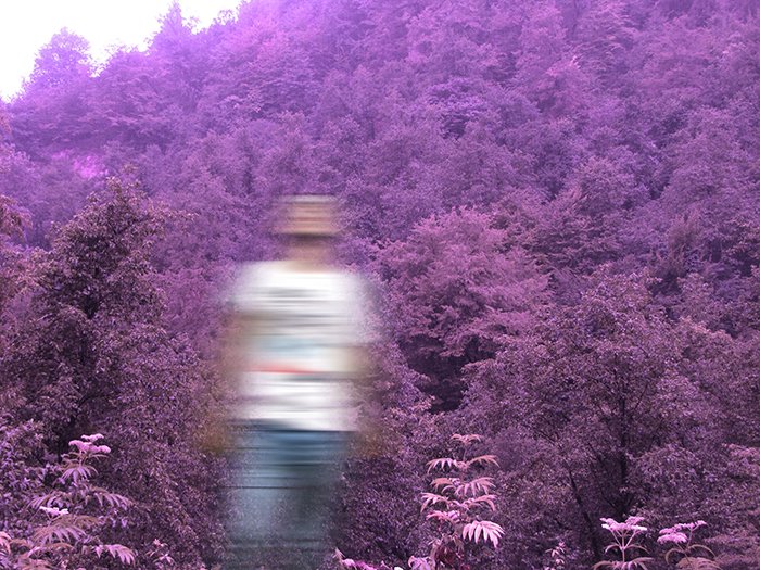 Motion blur фото мужчины на фоне фиолетовых деревьев