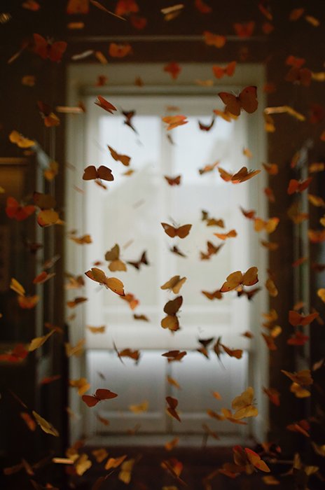 Отредактированное изображение с падающими листьями, похожими на бабочек
