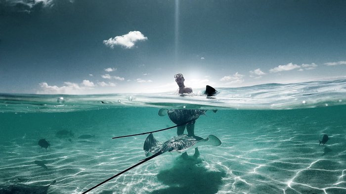 Снимок человека в океане в окружении водных обитателей, сделанный с помощью GoPro