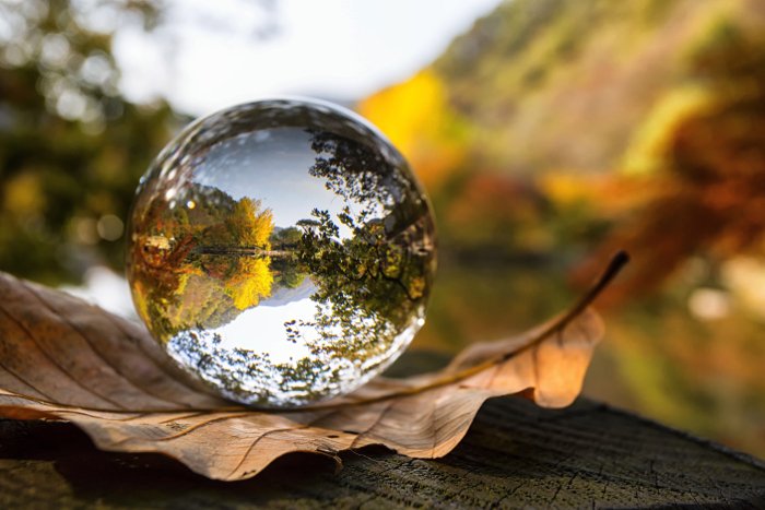 lensball, покоящийся на листе и отражающий красивый осенний пейзаж