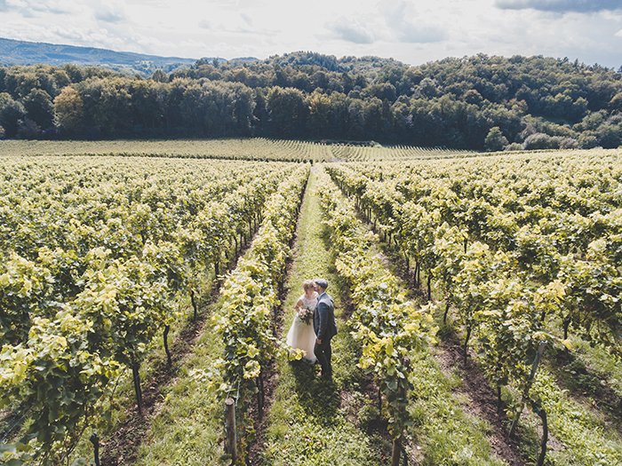 Свадебное фото с дрона на винограднике