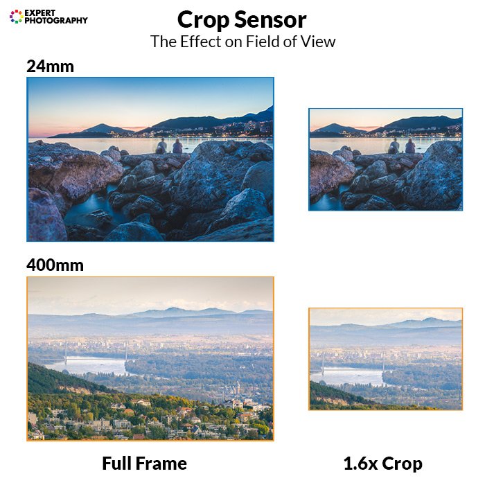 infographic explaining crop sensor