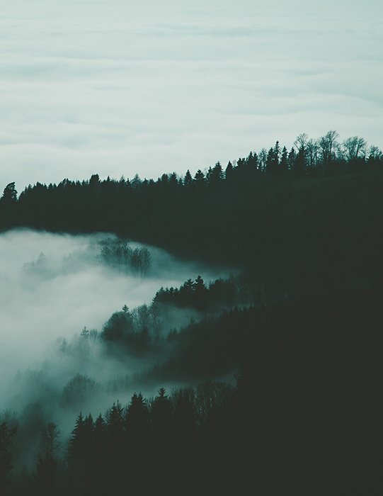Темное изображение силуэта леса с облаками
