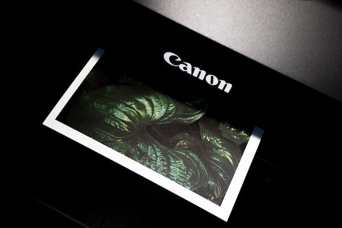 Принтер Canon печатает фото листьев