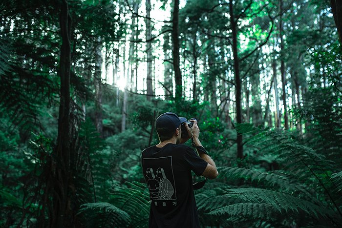 Мужчина фотографирует в зеленом лесу