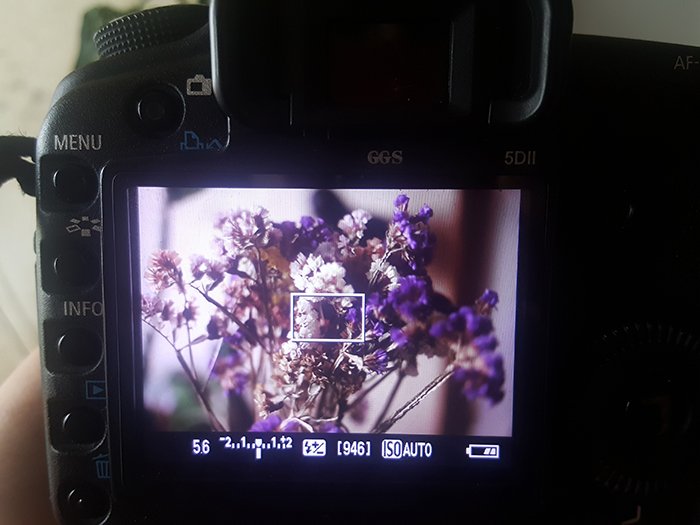 A close up of a DSLR camera shoot a flower with aperture priority mode 