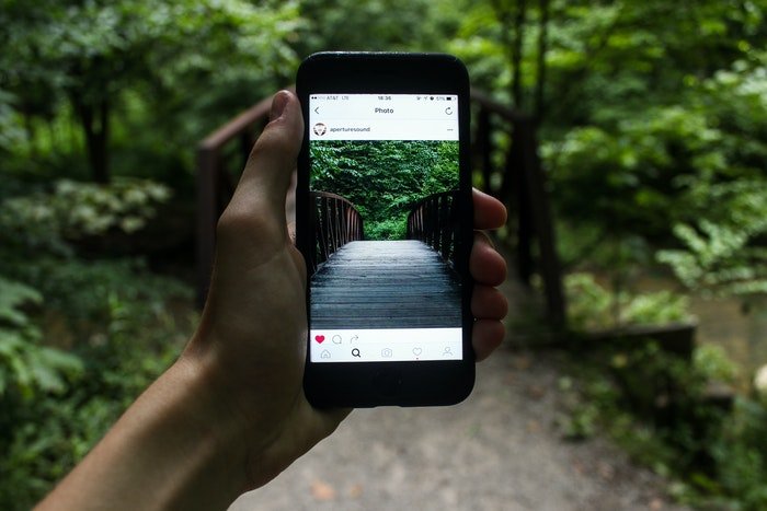 Человек фотографирует прогулку по лесу со смартфоном