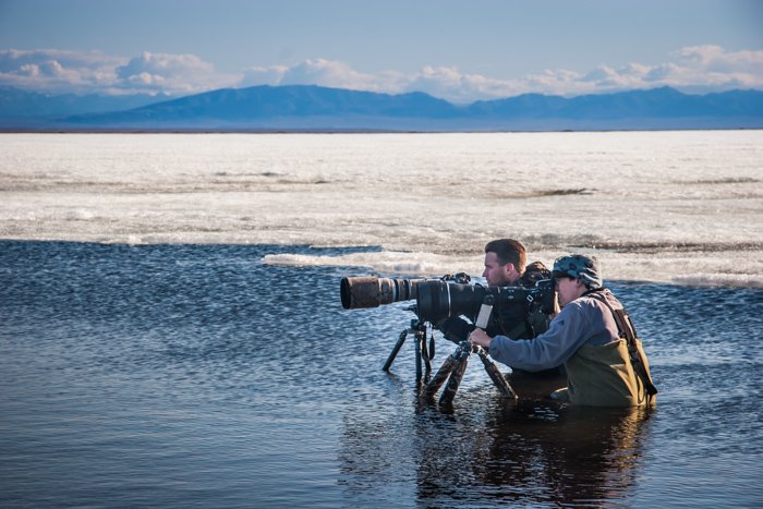 Два фотографа снимают птиц с длинными телеобъективами