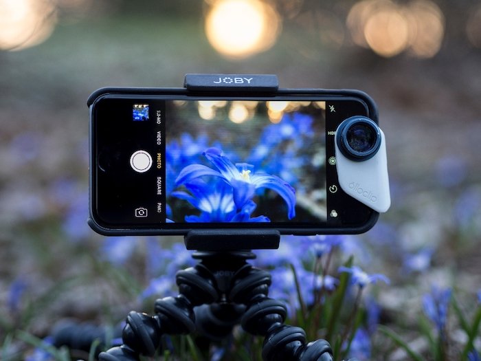 Съемка цветка в режиме time lapse со смартфона и штатива