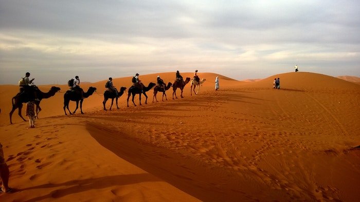 Вереница всадников на верблюдах движется по пустыне