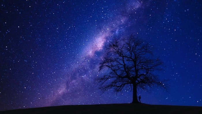 Потрясающий снимок астрофотографии звездного неба над силуэтом дерева