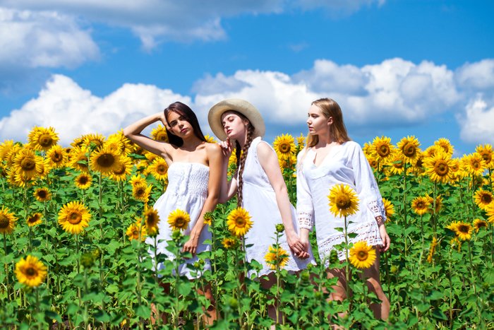 Три девочки в белом платье стоят в поле подсолнухов. На заднем плане голубое небо и белые облака. 