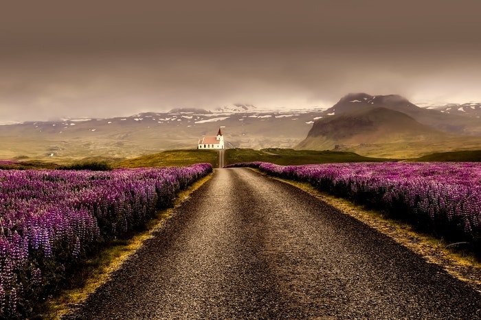 Дорога, ведущая к церкви, окруженной пурпурным вереском
